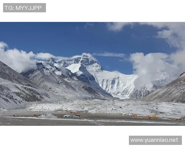 王伟的DOTA2人生深度对话探索游戏背后的梦想与挑战