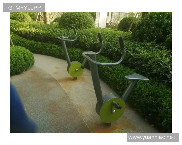 老年人适合使用的健身器材种类与使用注意事项 老年人适合使用的健身器材种类与使用注意事项