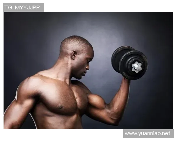 腹肌专用健身器材使用技巧与误区 腹肌专用健身器材使用技巧与误区