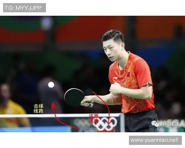 乒乓球运动员成长历程与技术突破的探索与启示 乒乓球运动员成长历程与技术突破的探索与启示