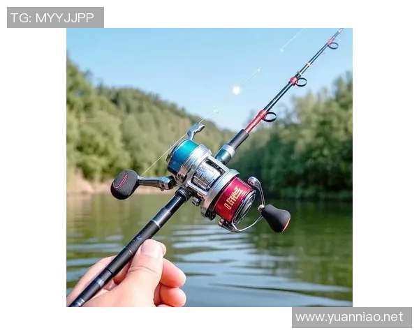 渔具选择与使用技巧全解析 提升钓鱼体验的关键要素